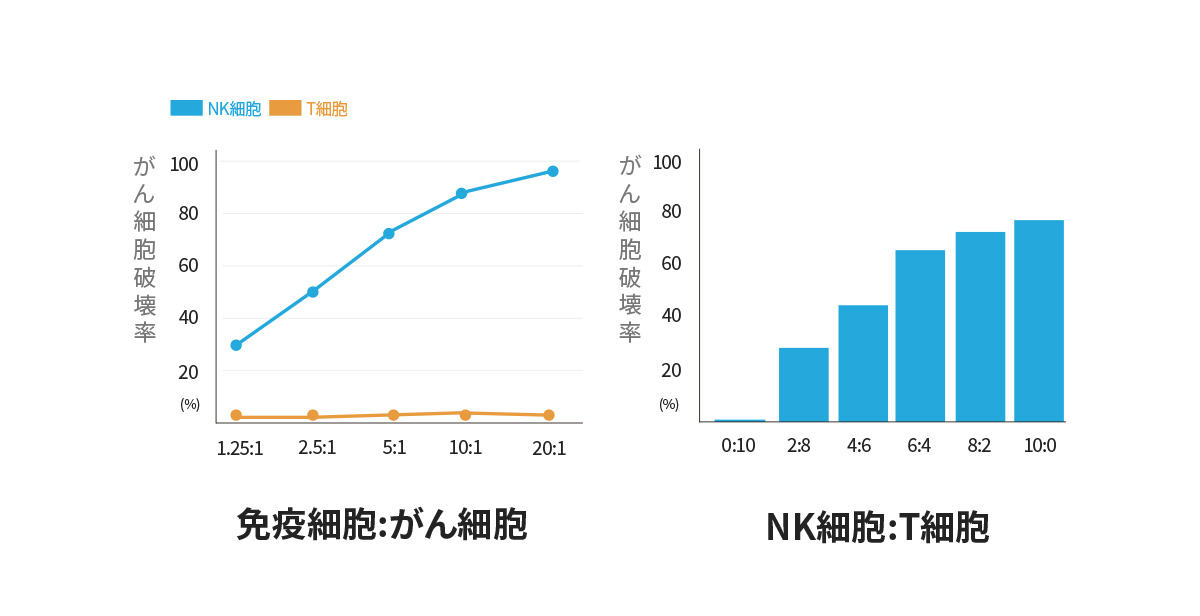 高活性NK細胞療法 | 免疫とがん | 医療法人社団 順清会 TCC TOKYO